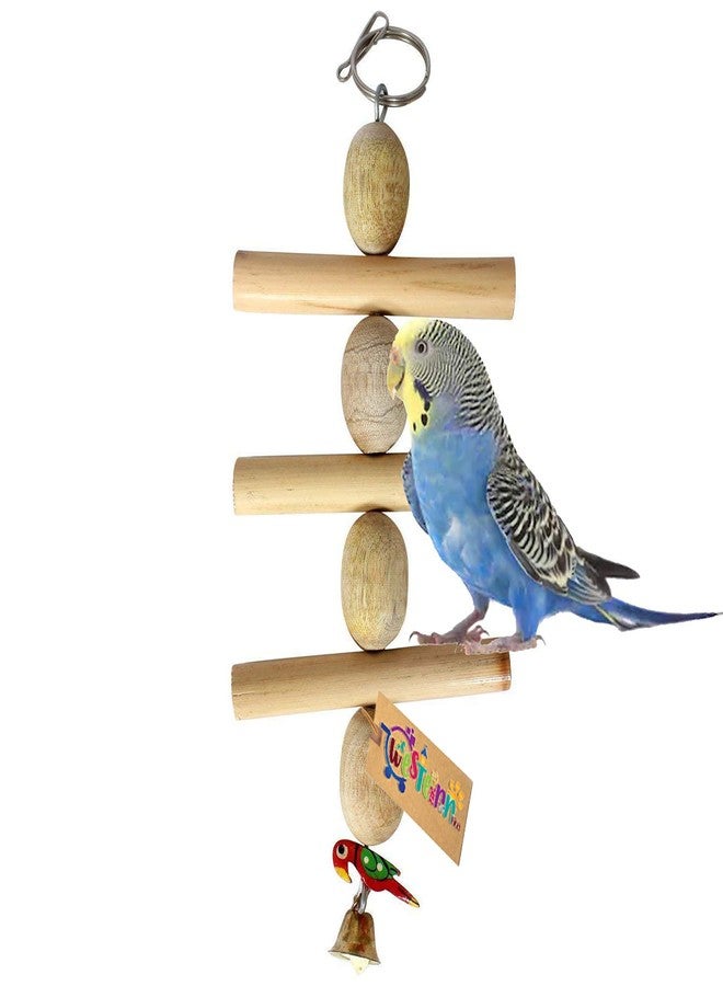 Western Era Playful Gym Natural Wooden Bead Hanging Swing Toy for Birds - Image 1